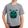 PC Youth Cotton Fan Favorite T-Shirt Thumbnail