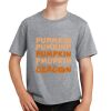 PC Youth Cotton Fan Favorite T-Shirt Thumbnail