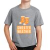 PC Youth Cotton Fan Favorite T-Shirt Thumbnail