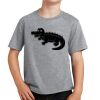 PC Youth Cotton Fan Favorite T-Shirt Thumbnail