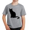 PC Youth Cotton Fan Favorite T-Shirt Thumbnail