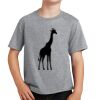 PC Youth Cotton Fan Favorite T-Shirt Thumbnail