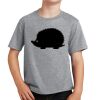 PC Youth Cotton Fan Favorite T-Shirt Thumbnail