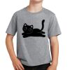 PC Youth Cotton Fan Favorite T-Shirt Thumbnail