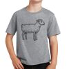 PC Youth Cotton Fan Favorite T-Shirt Thumbnail