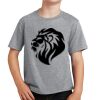PC Youth Cotton Fan Favorite T-Shirt Thumbnail