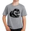 PC Youth Cotton Fan Favorite T-Shirt Thumbnail