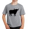 PC Youth Cotton Fan Favorite T-Shirt Thumbnail