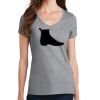 PC Ladies Fan Favorite V-Neck T-Shirt Thumbnail