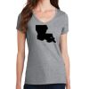 PC Ladies Fan Favorite V-Neck T-Shirt Thumbnail