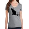 PC Ladies Fan Favorite V-Neck T-Shirt Thumbnail