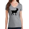 PC Ladies Fan Favorite V-Neck T-Shirt Thumbnail