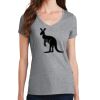 PC Ladies Fan Favorite V-Neck T-Shirt Thumbnail