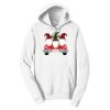 Adult Fan Favorite Hooded Sweatshirt Thumbnail