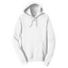Adult Fan Favorite Hooded Sweatshirt Thumbnail