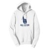 Adult Fan Favorite Hooded Sweatshirt Thumbnail