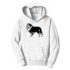 PC Youth Fan Favorite Hooded Sweatshirt Thumbnail