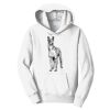 PC Youth Fan Favorite Hooded Sweatshirt Thumbnail