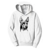 PC Youth Fan Favorite Hooded Sweatshirt Thumbnail