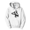 PC Youth Fan Favorite Hooded Sweatshirt Thumbnail