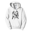 PC Youth Fan Favorite Hooded Sweatshirt Thumbnail