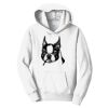 PC Youth Fan Favorite Hooded Sweatshirt Thumbnail