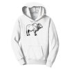 PC Youth Fan Favorite Hooded Sweatshirt Thumbnail