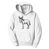 PC Youth Fan Favorite Hooded Sweatshirt Thumbnail