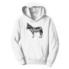 PC Youth Fan Favorite Hooded Sweatshirt Thumbnail