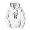 PC Youth Fan Favorite Hooded Sweatshirt Thumbnail