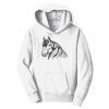 PC Youth Fan Favorite Hooded Sweatshirt Thumbnail