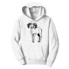PC Youth Fan Favorite Hooded Sweatshirt Thumbnail