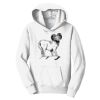 PC Youth Fan Favorite Hooded Sweatshirt Thumbnail
