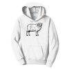 PC Youth Fan Favorite Hooded Sweatshirt Thumbnail