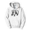 PC Youth Fan Favorite Hooded Sweatshirt Thumbnail