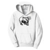 PC Youth Fan Favorite Hooded Sweatshirt Thumbnail