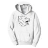PC Youth Fan Favorite Hooded Sweatshirt Thumbnail