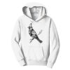 PC Youth Fan Favorite Hooded Sweatshirt Thumbnail
