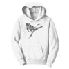 PC Youth Fan Favorite Hooded Sweatshirt Thumbnail