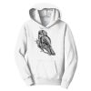 PC Youth Fan Favorite Hooded Sweatshirt Thumbnail