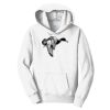 PC Youth Fan Favorite Hooded Sweatshirt Thumbnail