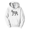 PC Youth Fan Favorite Hooded Sweatshirt Thumbnail