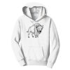 PC Youth Fan Favorite Hooded Sweatshirt Thumbnail