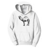PC Youth Fan Favorite Hooded Sweatshirt Thumbnail