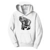 PC Youth Fan Favorite Hooded Sweatshirt Thumbnail