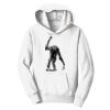 PC Youth Fan Favorite Hooded Sweatshirt Thumbnail