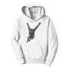 PC Youth Fan Favorite Hooded Sweatshirt Thumbnail