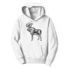 PC Youth Fan Favorite Hooded Sweatshirt Thumbnail