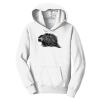 PC Youth Fan Favorite Hooded Sweatshirt Thumbnail