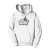PC Youth Fan Favorite Hooded Sweatshirt Thumbnail